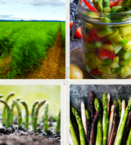 Is it the Dawning of the Age of Asparagus?