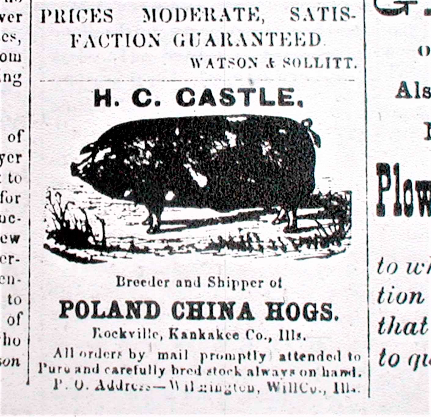 1878 hog ad