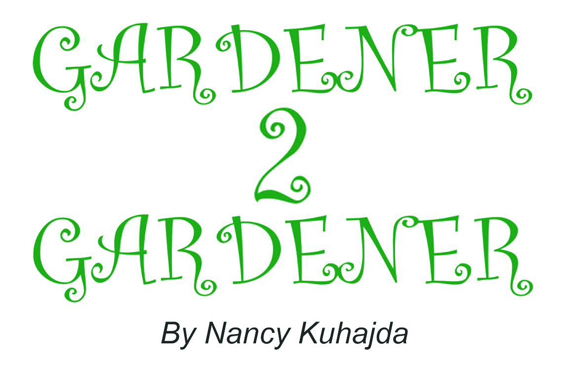 Gardner 2 Gardner.Web Header
