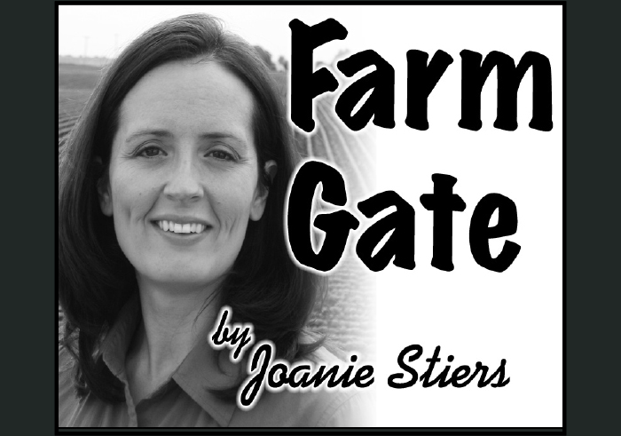 At the Farm Gate - Joanie Stiers.2