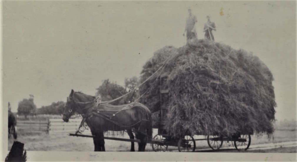 Lester Christiansen, left, and Glen Christiansen are on top of the world, or at least a pile of hay, on a farm at Route 45 and Steger Road around 1947. Lester would buy the Frankfort farm in 1953.
