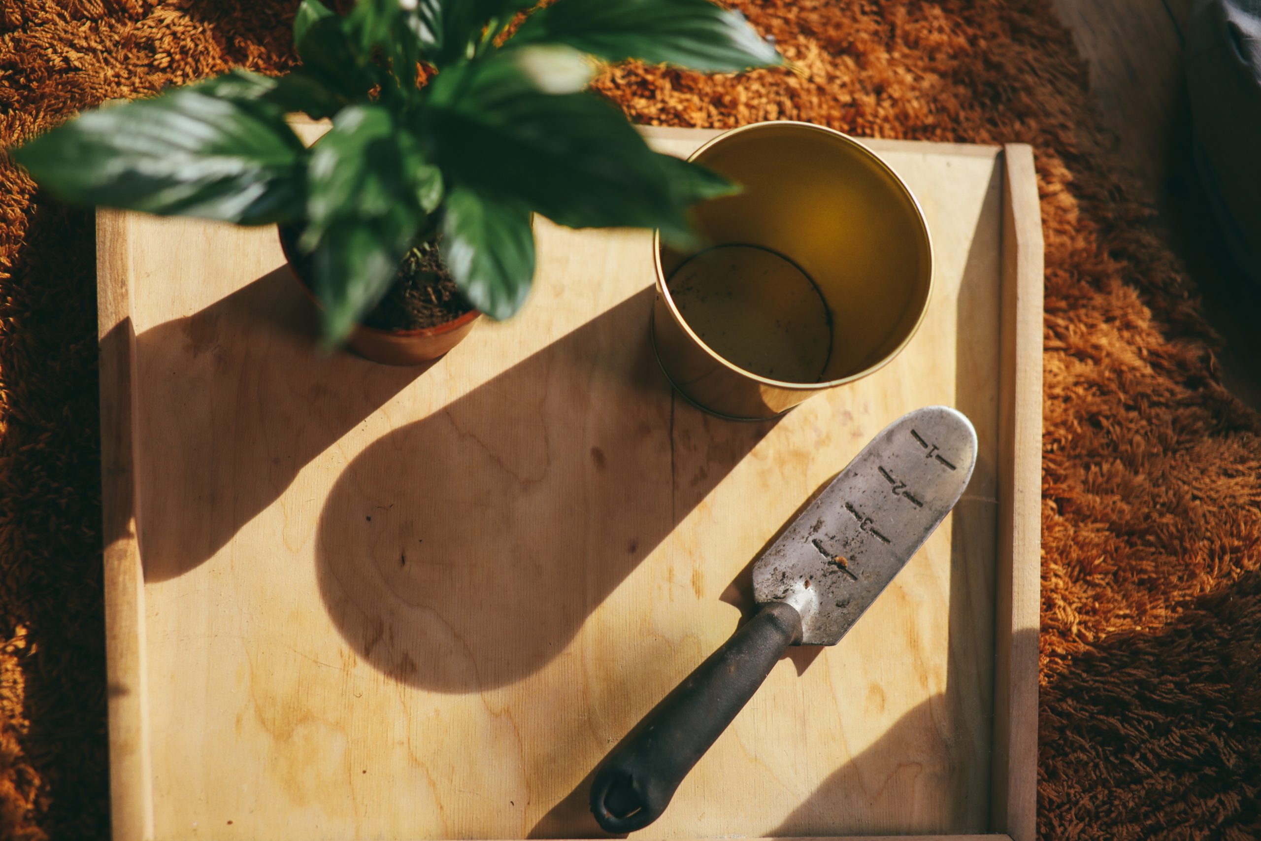 A single forged trowel will outlast any two piece version. The Earth Machine compost bin is a tidy, yet effective composter.