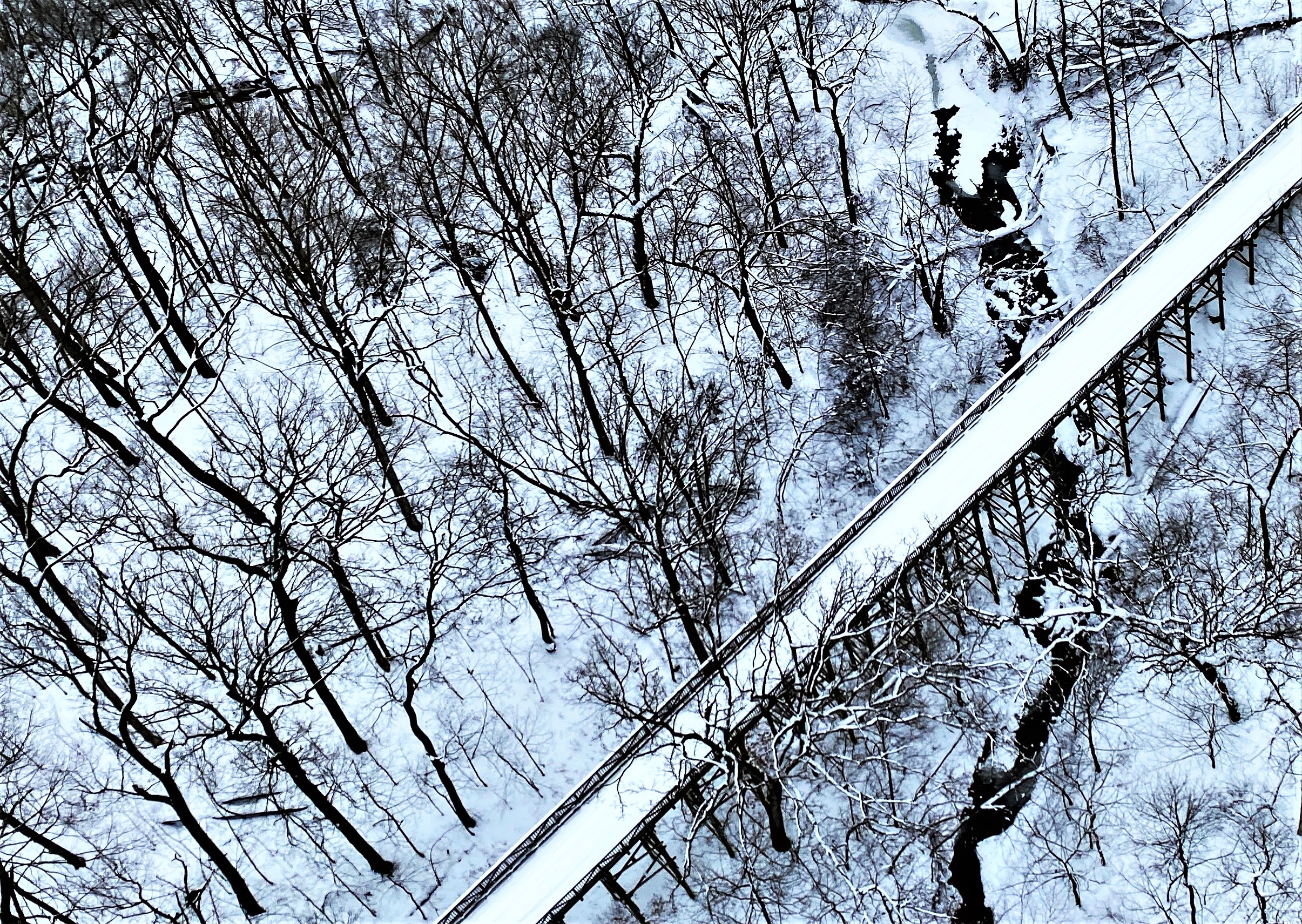 Grab your favorite mug and a can of chili or soup and take part in the Forest Preserve District of Will County’s Soup-er Chili Hike to the Bridge program on Jan. 21 at Plum Creek Nature Center in Crete Township. (Photo by Forest Preserve staff | Chad Merda)