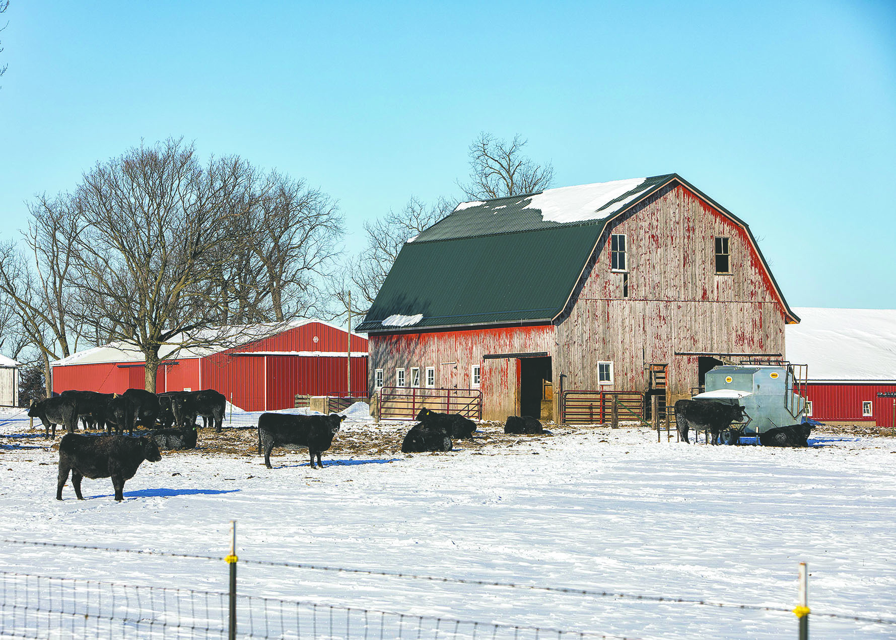 At the Farm Gate 01.05.3