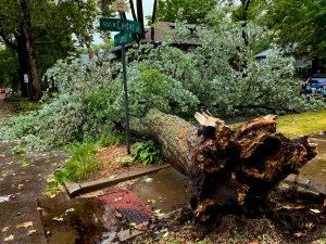 Insurance industry opposes regulation, blames inflation, climate change for rate hikes
