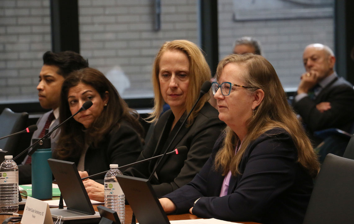 Minal Giri, Rebecca Ford-Paz and Karen Susan Haverkamp. 