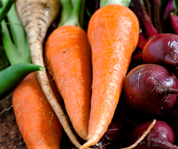 A summer planting of carrots and beets will yield a sweet harvest this fall.