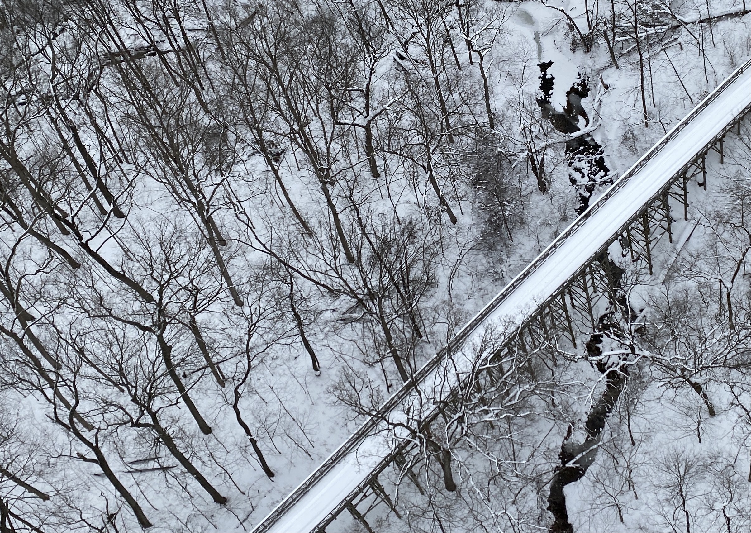 Get ready for the NFL’s Super Bowl football game by taking a 3-mile hike from Plum Creek Nature Center in Crete Township to the stunningbig bridge that spans a 40-foot ravine in Goodenow Grove Nature Preserve. The hike will take place during a Soup-er Bowl Hike to the Bridge program on Saturday, Feb. 10. Bring a can of soup or chili to mix into one of two bubbling pots for an after-hike meal by the campfire. Bring a second can of food for the Crete Food Pantry. (Photo by Forest Preserve staff | Chad Merda)