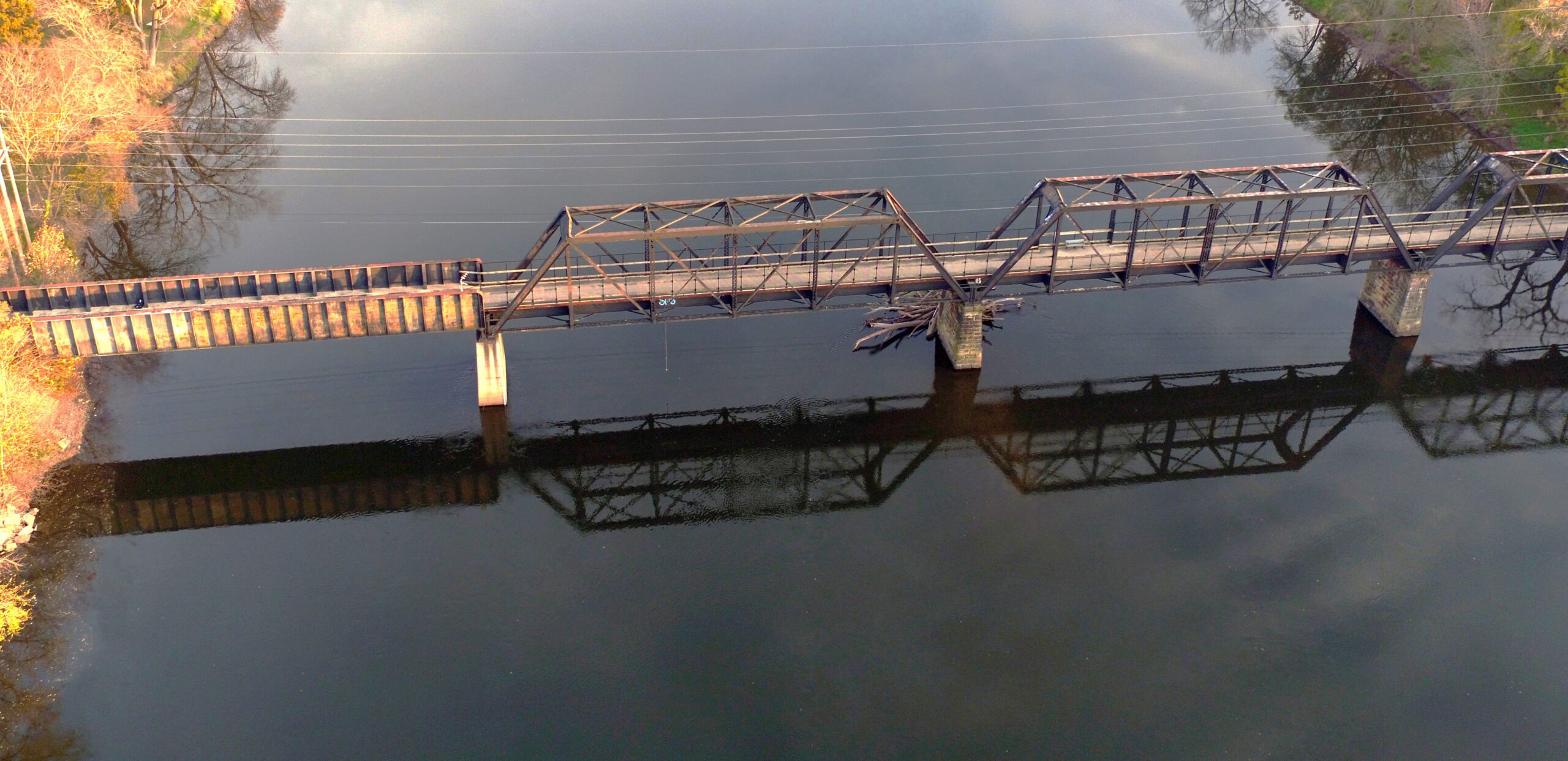 The Wauponsee Glacial Trail bridge over the Kankakee River in Custer Park is one of five unique spans that are part of a Bridges of Will County challenge. The challenge started April 1 and runs through June 30. (Forest Preserve photo)