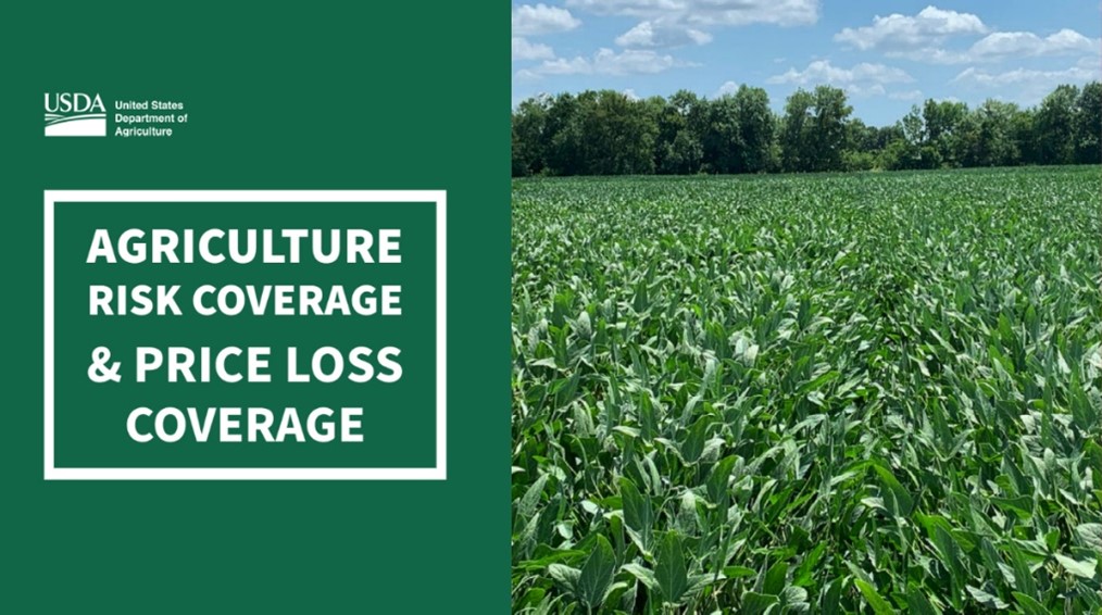 Agriculture Risk Coverage and Price Loss Coverage Programs