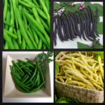 Beans Done Correctly Can Bring Music to Your Table 