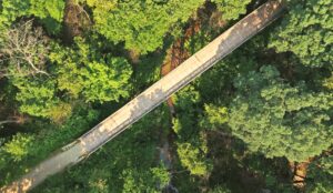Will County Forest Preserve Programs