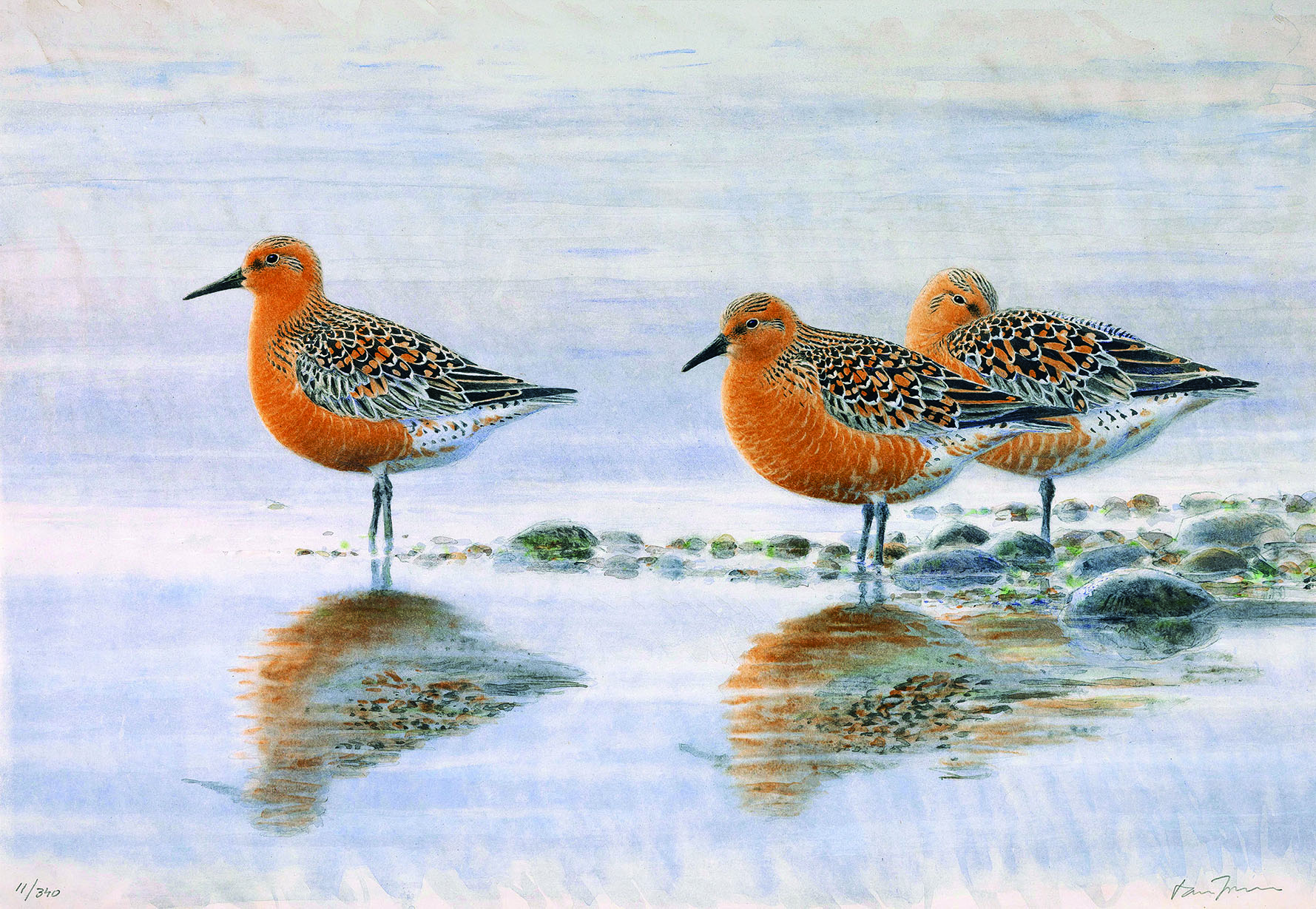 This lithograph titled “Towards Arctic Shores” by artist Lars Jonsson of Sweden is one of 60 works of art that will be on display during a “Birds in Art” exhibition at the Forest Preserve District of Will County’s Plum Creek Nature Center in Crete Township from Jan. 2 through Feb. 25. (Photo courtesy of Leigh Yawkey Woodson Art Museum)