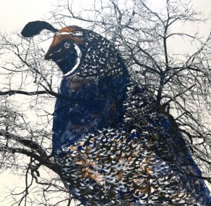 Plum Creek Center Art Exhibit Offers Whimsical Look at America’s State Birds