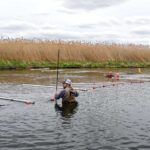 Invasive Carp Trap Installed at Rock Run Rookery Preserve