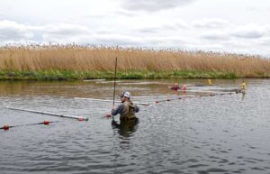 Invasive Carp Trap Installed at Rock Run Rookery Preserve
