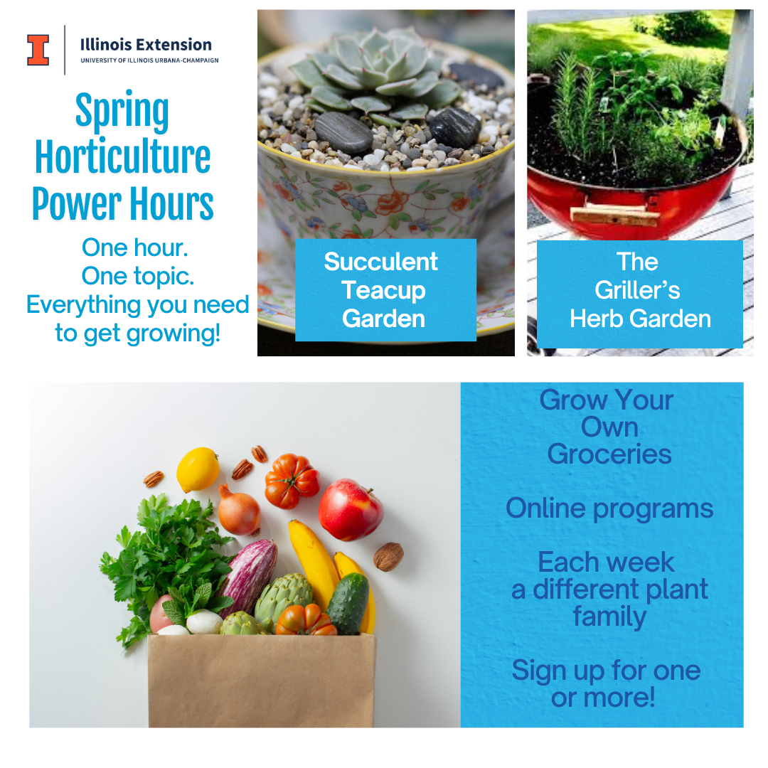 Know more, grow more upcoming programs: For Mother’s Day, bring your child to the Succulent Teacup Garden program; For Father’s Day, bring your child to make a griller’s herb garden; or sign up for Grow Your Own Groceries online programs-each week you will learn how to grow, harvest, store, use and preserve a different plant family. Sign up for one, several or all. Whatever interests you!