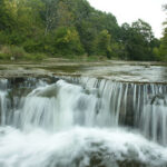 Illinois Spring Trout Season Opens April 5