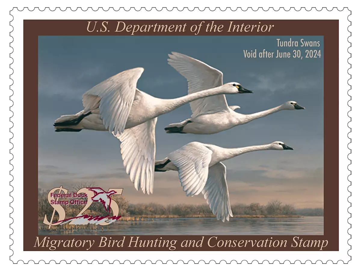 A Federal Ducks Tamp Art Display is coming to the Forest Preserve District of Will County in January. The exhibit will be on display from Jan. 7-Feb. 22 at Plum Creek Nature Center. This is just one of many fun, family-friendly events planned for 2026 throughout the District. (Photo courtesy of the U.S. Fish and Wildlife Service)