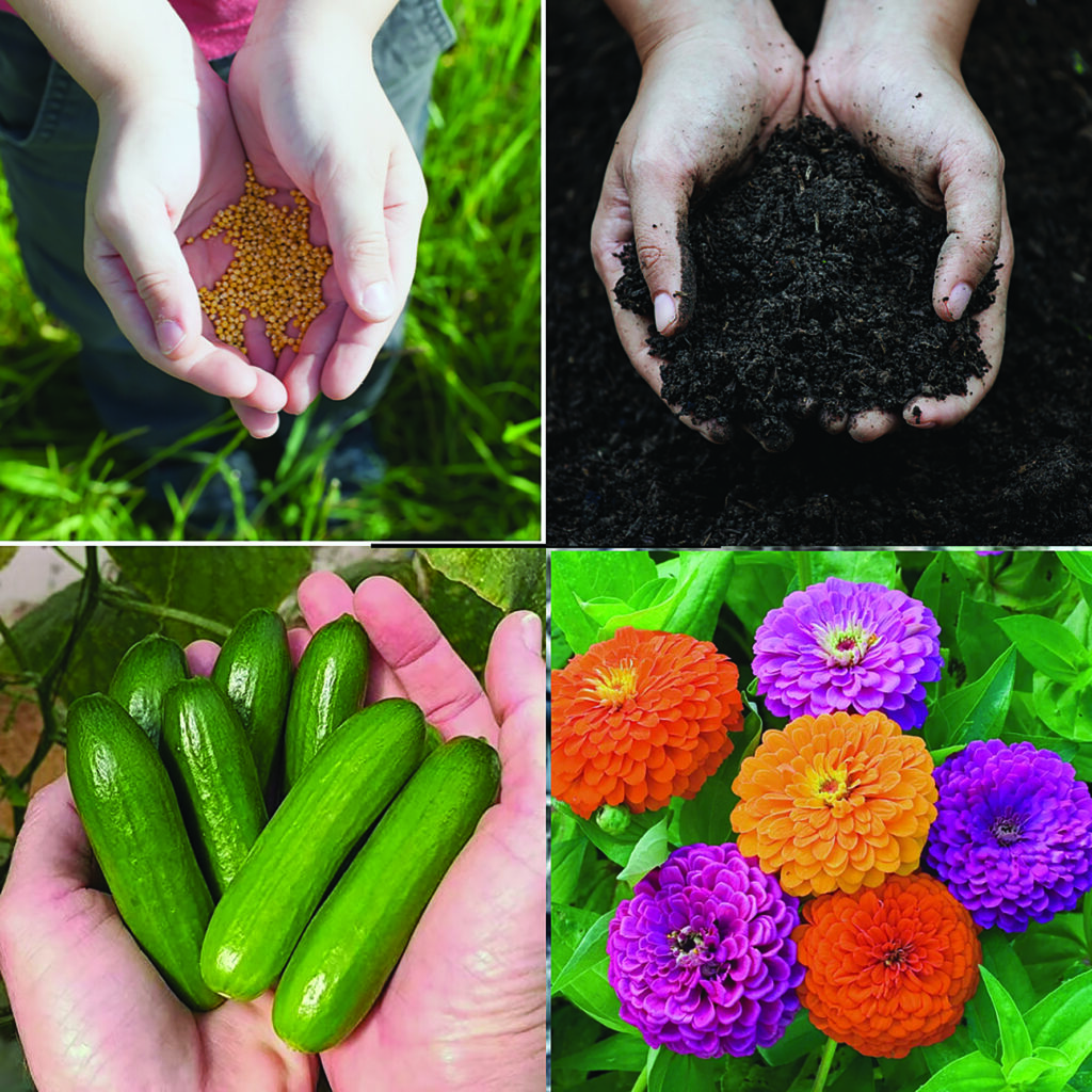 Do I really need 60 pepper plants of the same variety? Consider smaller seed packets or swapping with friends; at the beginning of the gardening season, concentrate on evaluating and/or improving your soil before planting; with all this talk of only using native perennials, remember it is important to continue to plant annuals for season long pollen production; I know we all have our most loved vegetable varieties, but consider trying something new like these snack sized cucumbers.