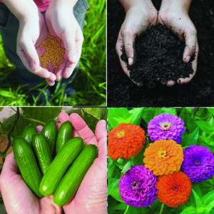GardeningGardening resolutions for the new year—or not