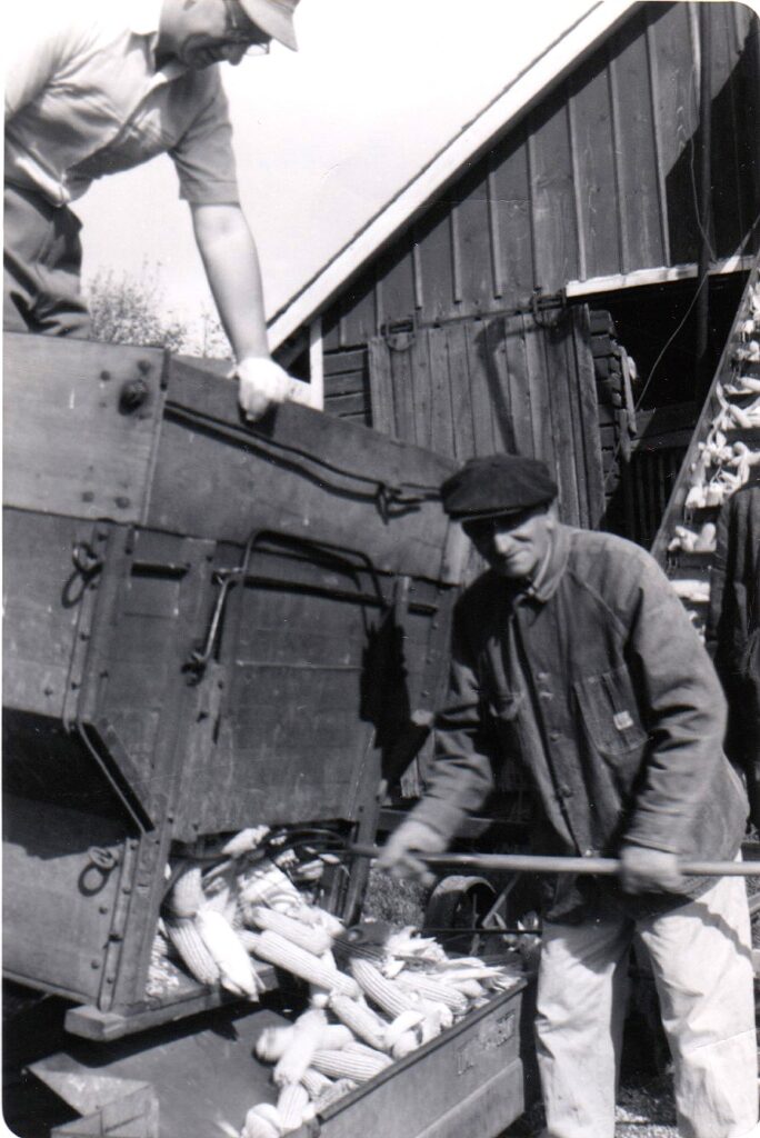 Glenn and Mr. C. Boyer pick some corn on the Bettenhausen farm on October 6, 1956.