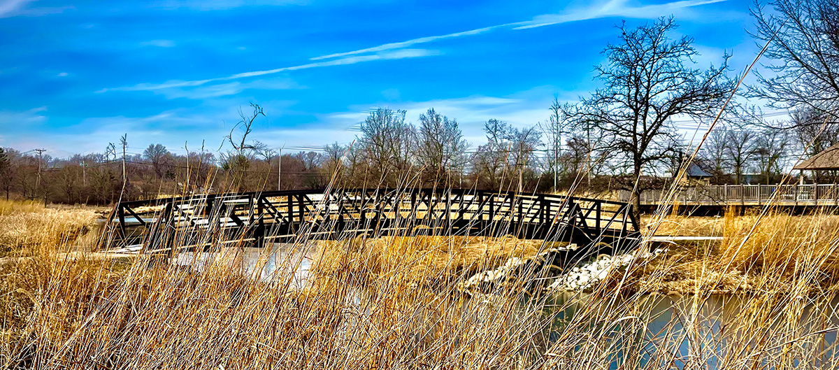 Homer Township