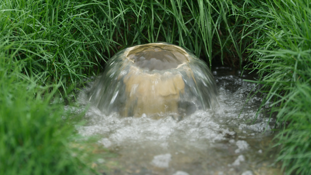 Wasted waters: How Southern Illinois is coping with decades of sewage flooding Wasted waters: How Southern Illinois is coping with decades of sewage flooding