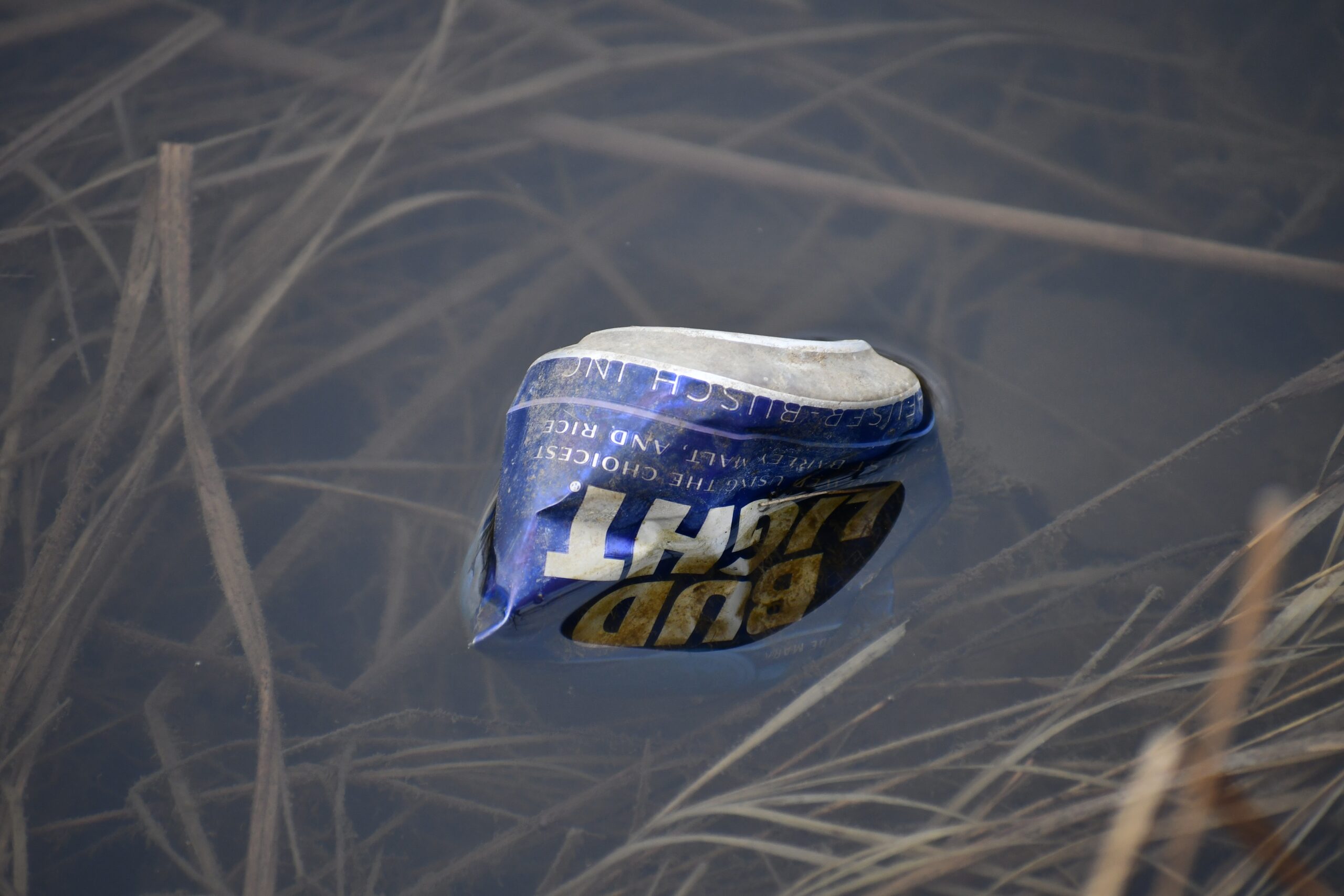 Litter-Anthony Schalk