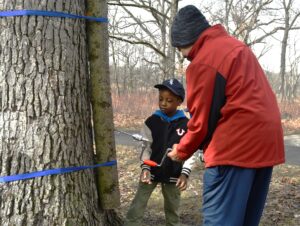 Forest Preserve’s Maple Syrup Magic sweetens the pot with new activities 