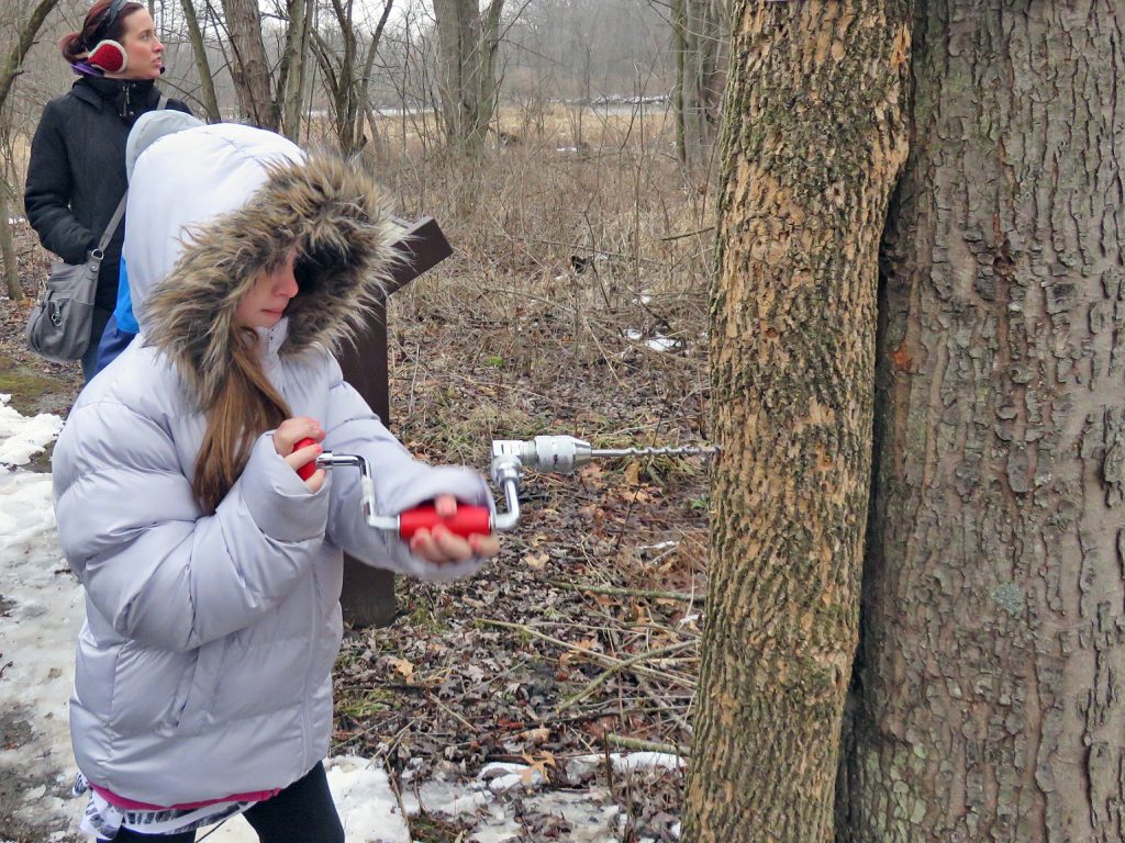 Photo cutline: Learn how maple syrup is made and take a taste of the finished product during the Forest Preserve District of Will County’s Maple Syrup Magic on Saturday, March 16, at Plum Creek Nature Center in Crete Township. (Forest Preserve photo)