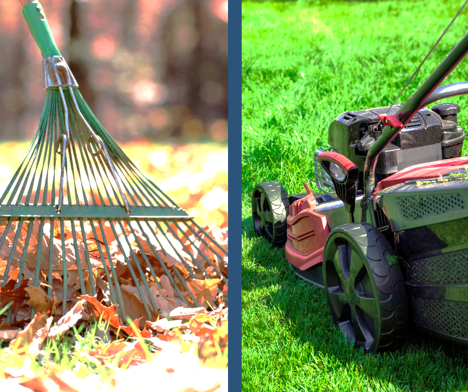 You might think raking leaves is the top fall garden task, but don’t forget to continue to mow turf until it goes dormant.