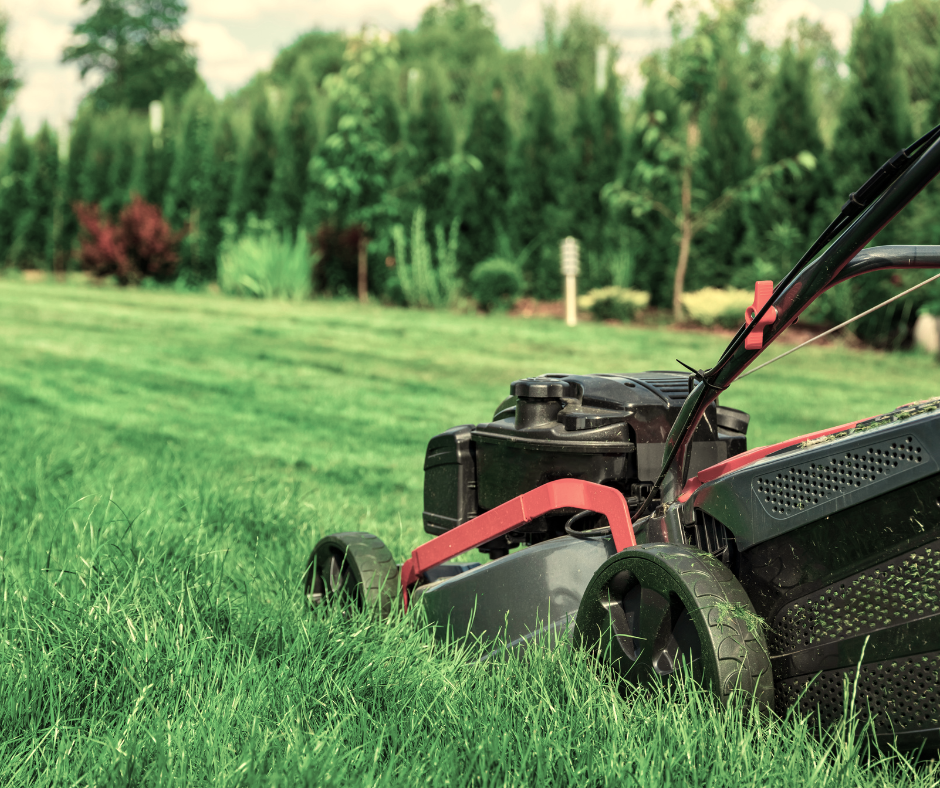 Yes, You Still Should Mow Now, But Not Too Low – Farmers Weekly Review