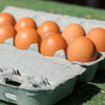 Eggs for Easter More Affordable than Last Year