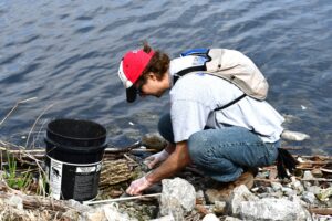 Will County Forest Preserve Programs