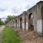 Will County Forest Preserve Programs