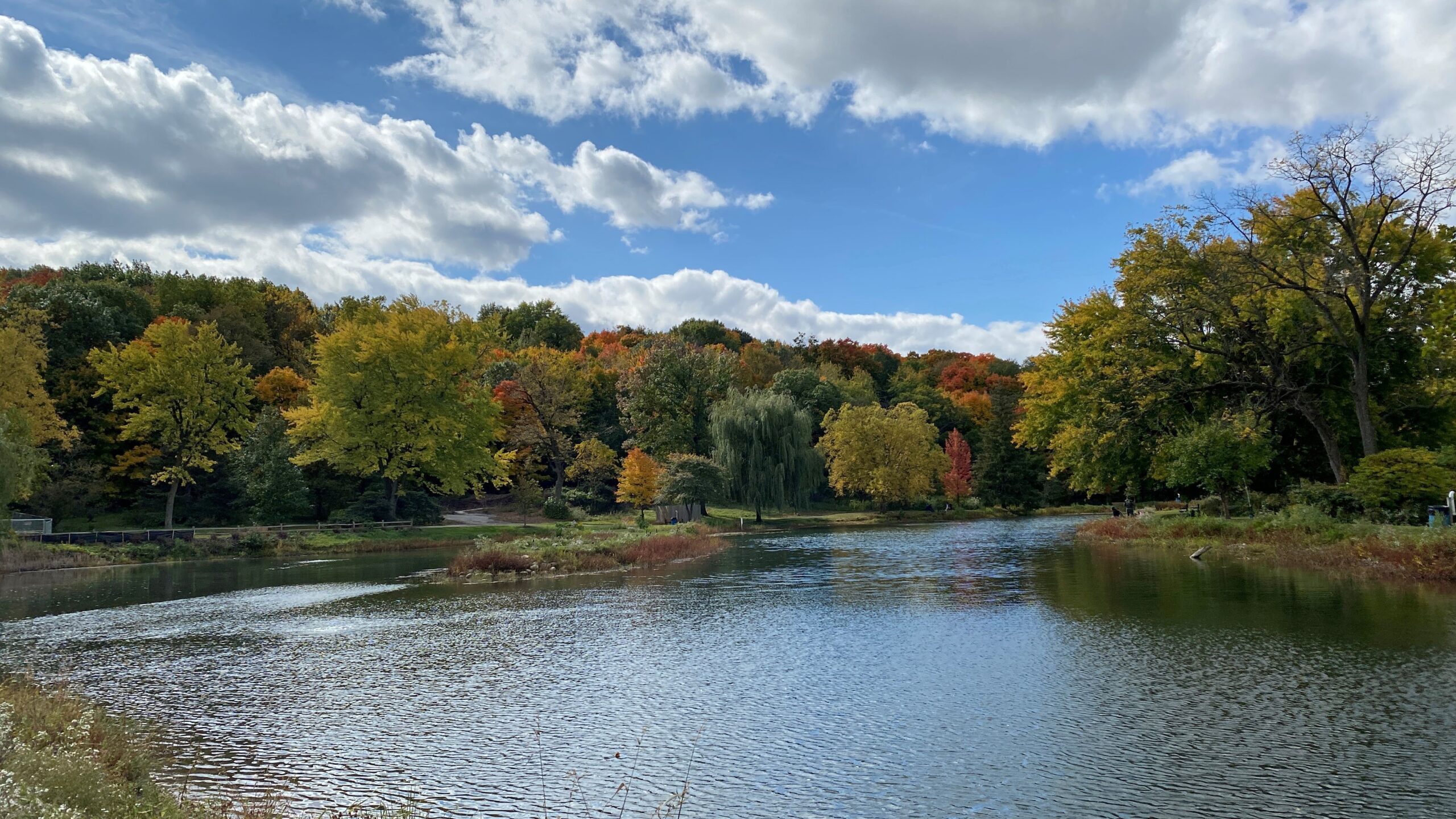 Celebrate Hispanic Heritage Month at the Forest Preserve District of Will County’s Hidden Lakes Trout Farm in Bolingbrook by participating in a bilingual scavenger hunt from Sept. 1 through Sept. 29. (Forest Preserve photo)
