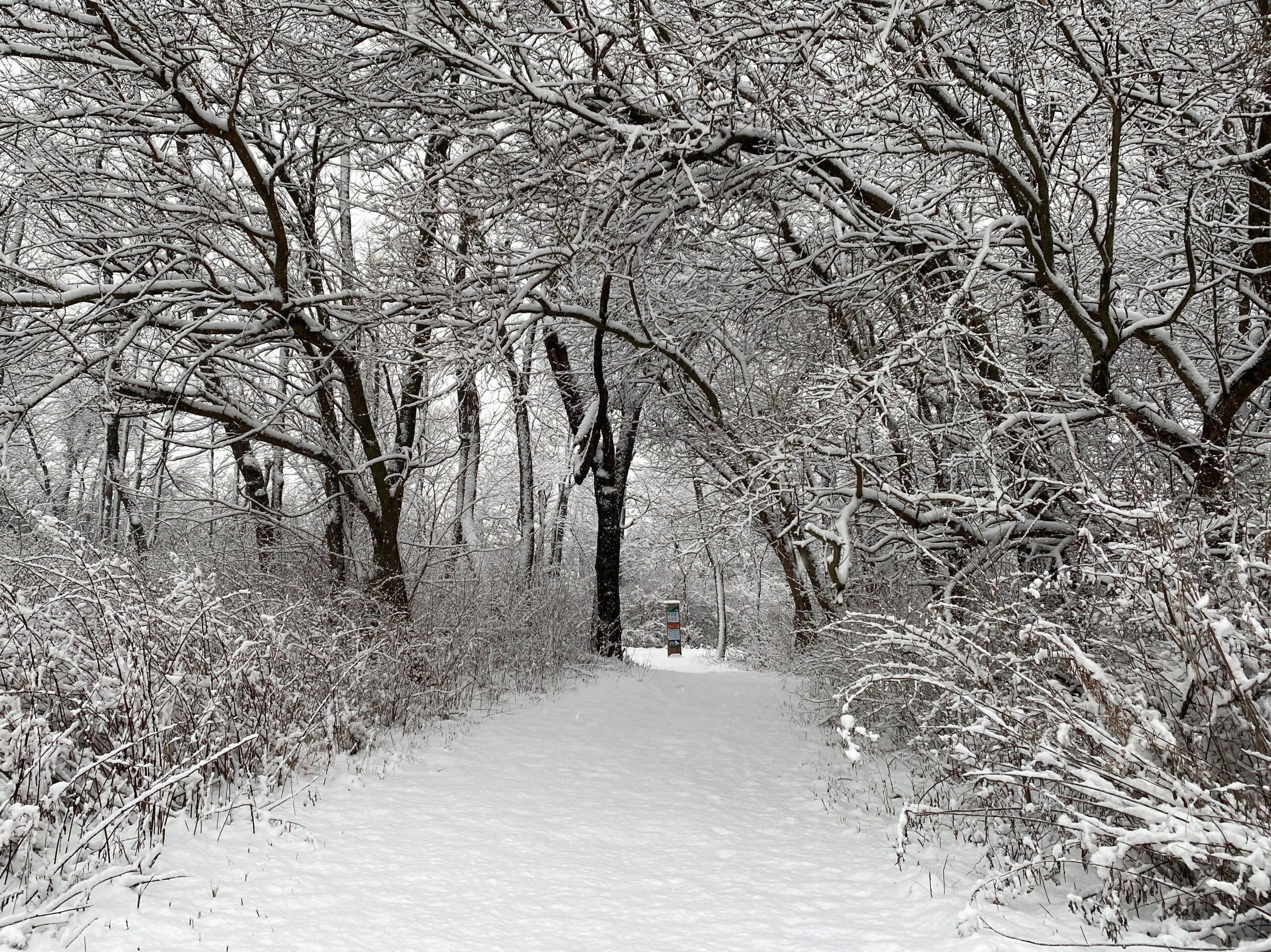 The Forest Preserve District of Will County’s Taking in the Great Outdoors wellness workshop on March 4 will feature a presentation from The Conservation Foundation on its NatureRx initiative and information on outdoor opportunities in Will County. (Forest Preserve photo)