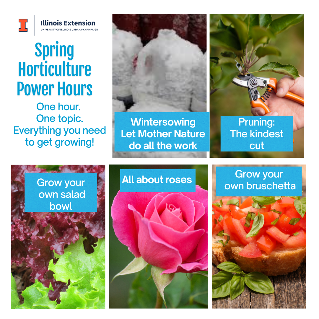Spring hort power hours