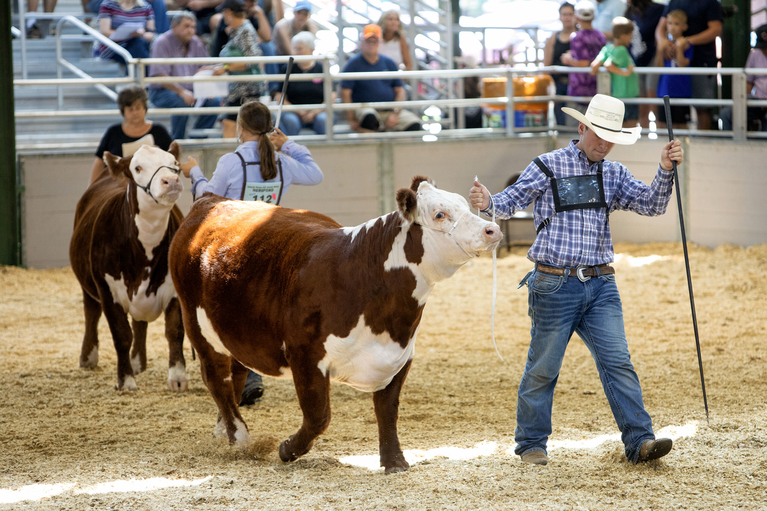 StateFair
