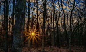 Will County Forest Preserve Programs