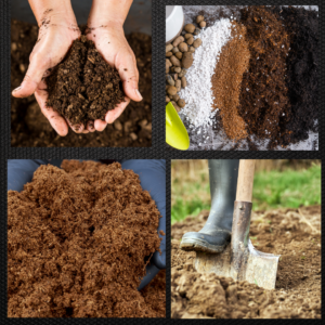 SSShhh! Here’s the dirt on dirt!