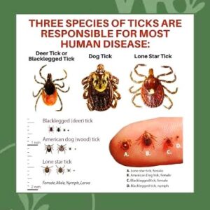 Tick, tock … it is tick time already, here’s what you can do