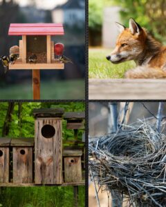 Welcoming wildlife the right way-think like a bird … or opossum