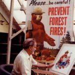 Smokey Bear Paintings at 5 Nature Sites