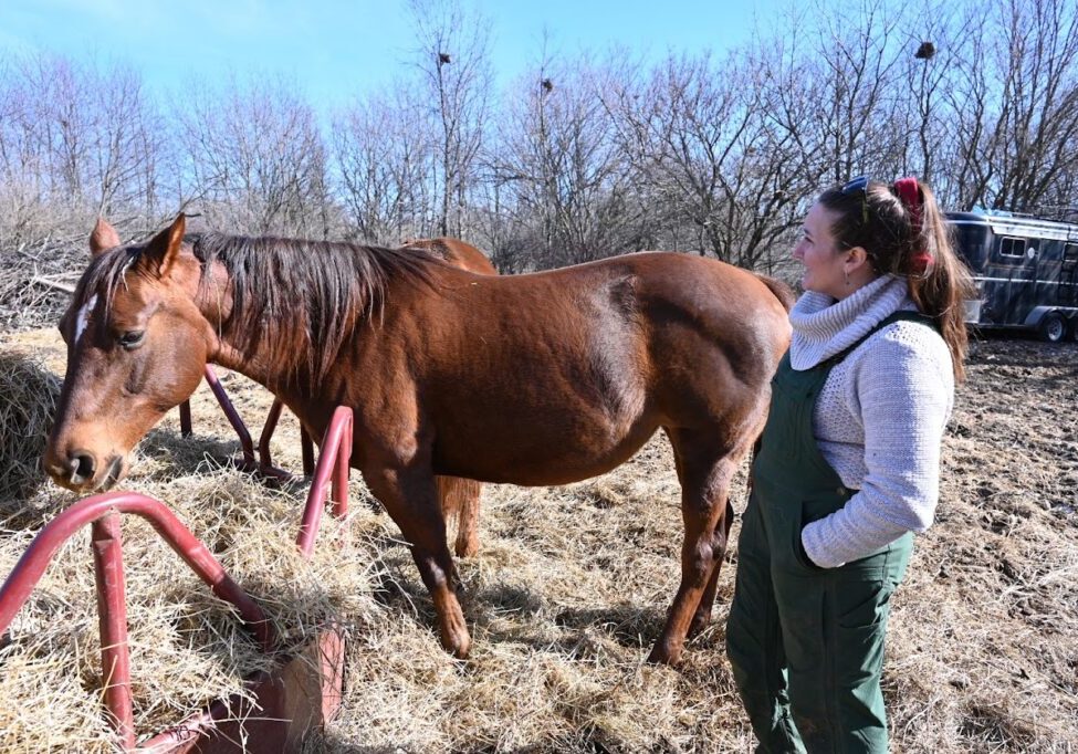 HHH Ranch, founded by Christine Doran, provides a sanctuary for animals, mostly horses, and therapy for those who suffer from mental health issues. (Photo by Stephanie Irvine)