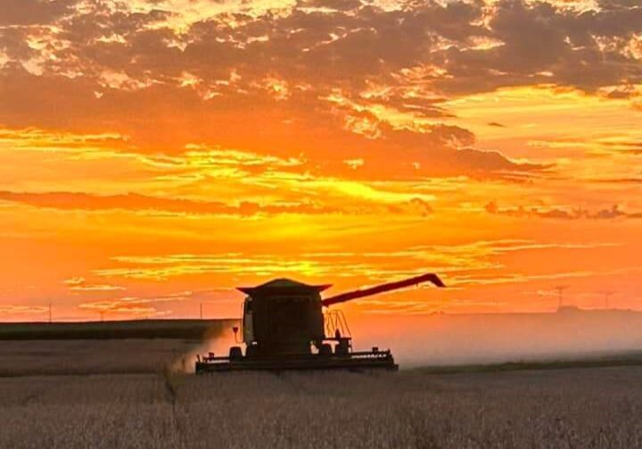 Mary Bernhard shares this great photo of her husband Paul harvesting soybeans at sunset recently on their Manhattan farm.