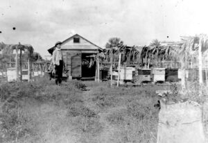 Farm Days Gone By