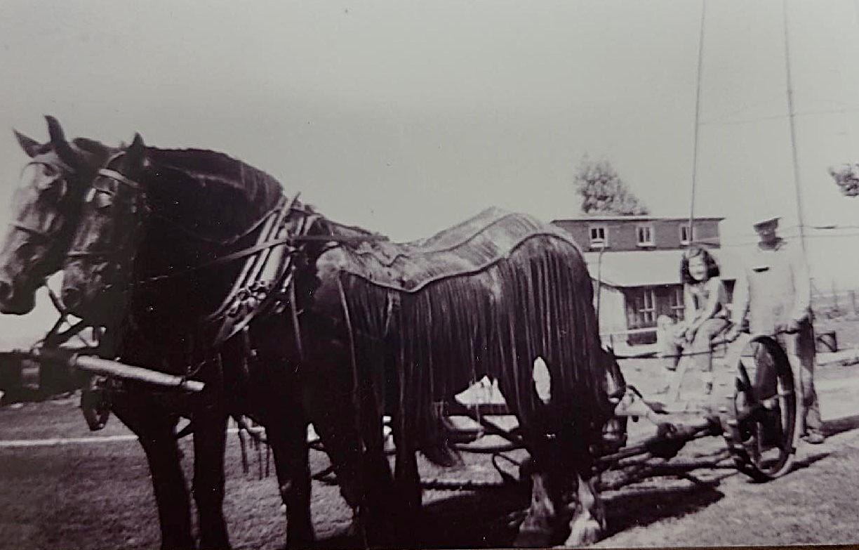 Corey Brandau shares this undated photo of Clarence Sangmeister and daughter, Jeanette (Brandau), taking the horses for a spin.