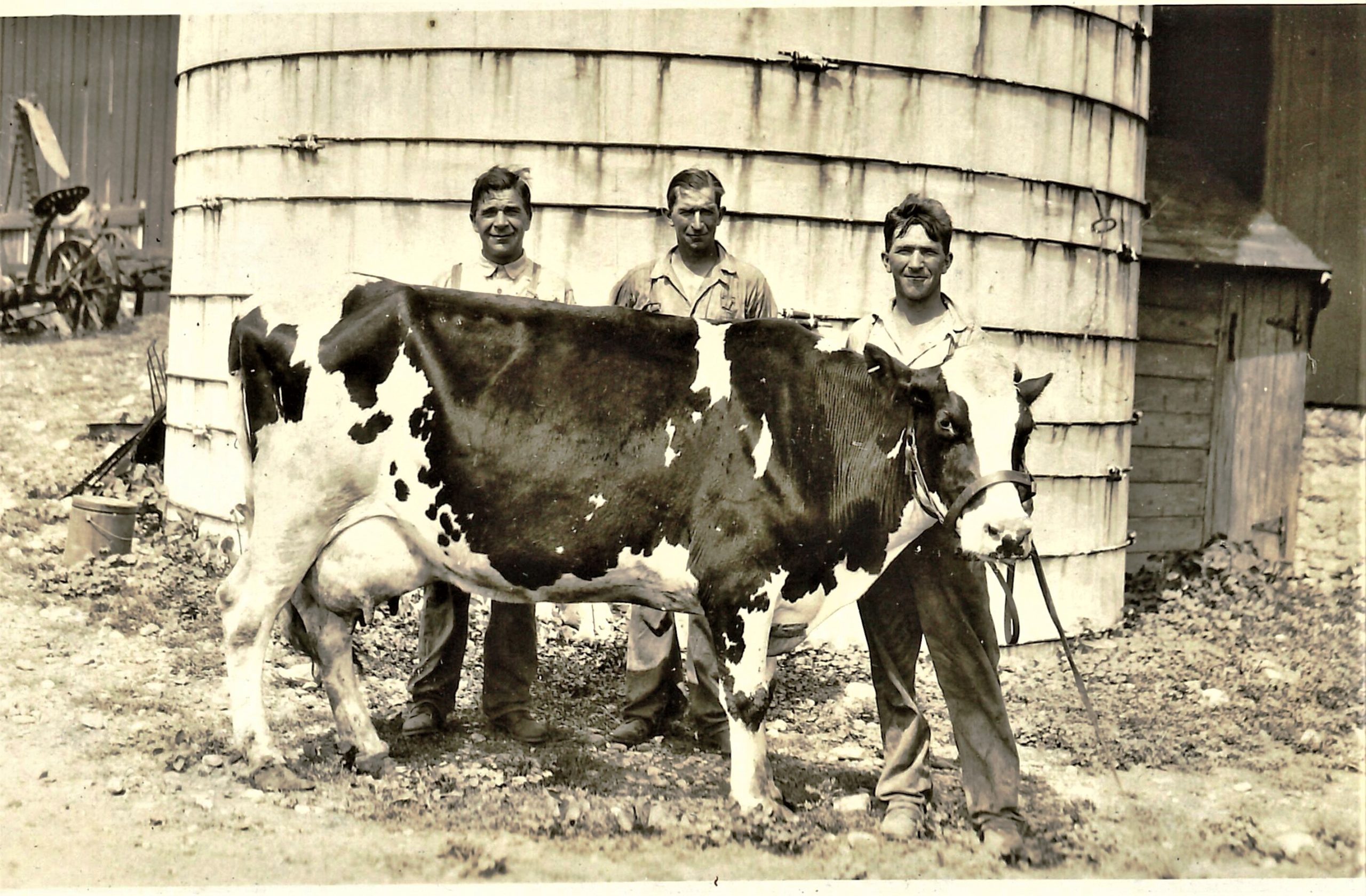 Ladies and gentlemen, the champ is here! The champ is here! Our historian Sandy Vasko sends us this photo of the champion 3-year-old milk producer with John Fredrickson, Adolf and Arthur Nystrom.